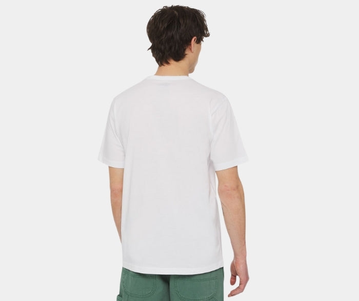 DICKIES T SHIRT - AITKIN TEE