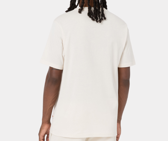 DICKIES MAPLETON T SHIRT S-4XDB