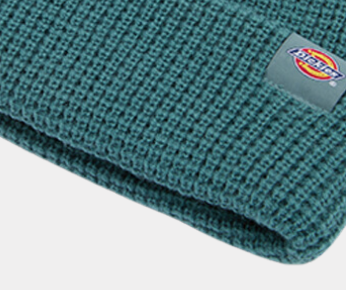 DICKIES CUFFIA WOODWORTH