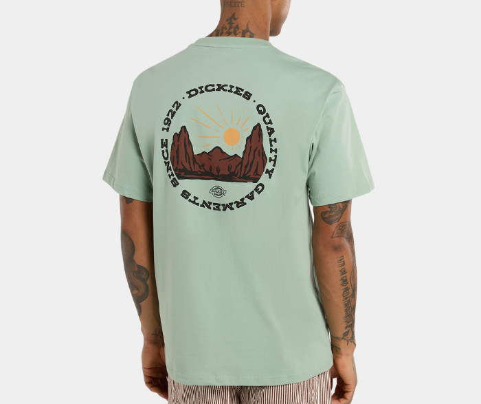 DICKIES OUTDOOR T-SHIRT S-4Z8P