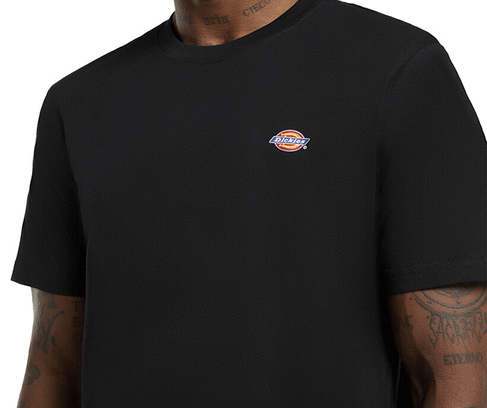 DICKIES T-SHIRT MAPLETON