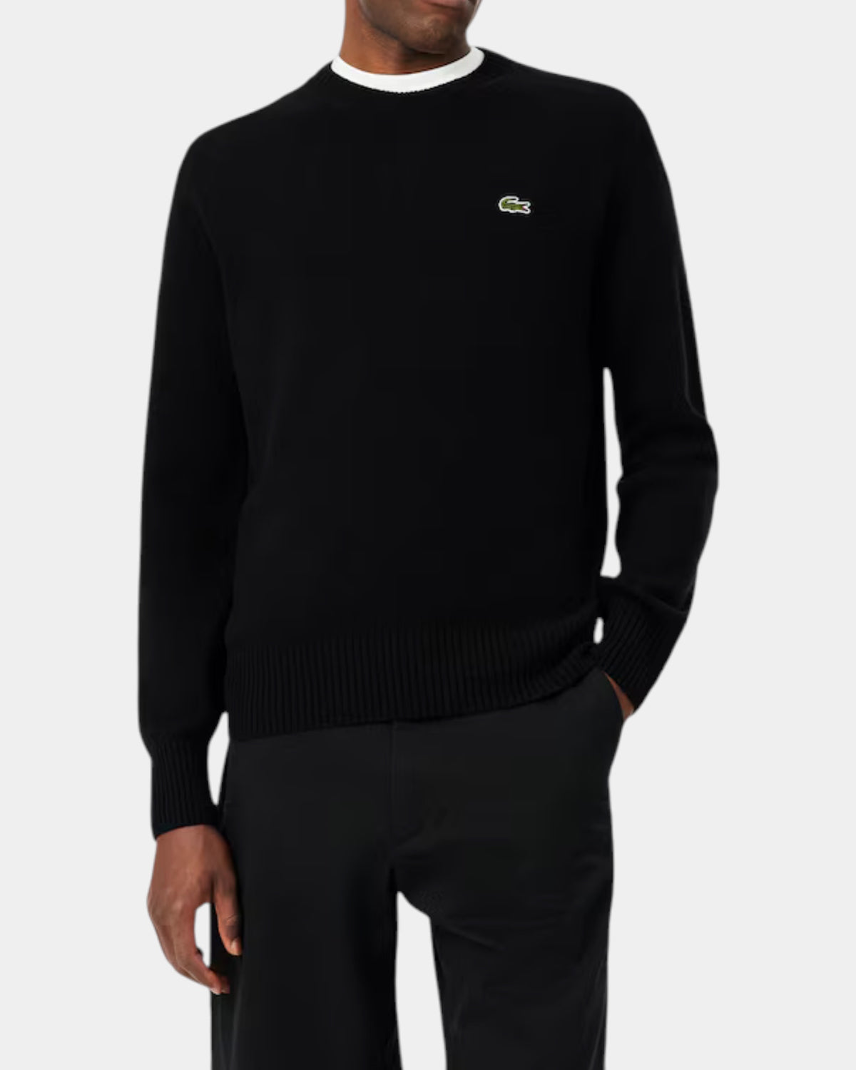Lacoste Maglione a girocollo in lana cardata