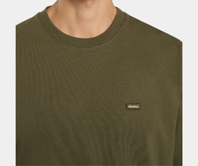 DICKIES CLANCY T-SHIRT S-Z4LM
