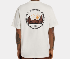 DICKIES OUTDOOR T-SHIRT S-4Z8P