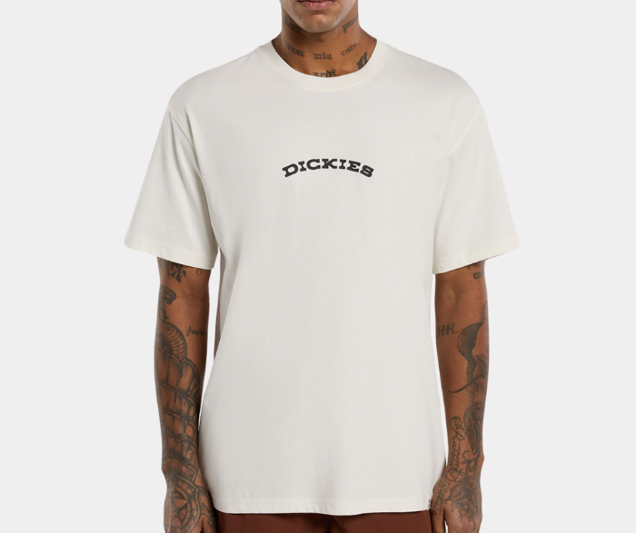 DICKIES OUTDOOR T-SHIRT S-4Z8P