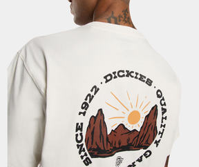 DICKIES OUTDOOR T-SHIRT S-4Z8P