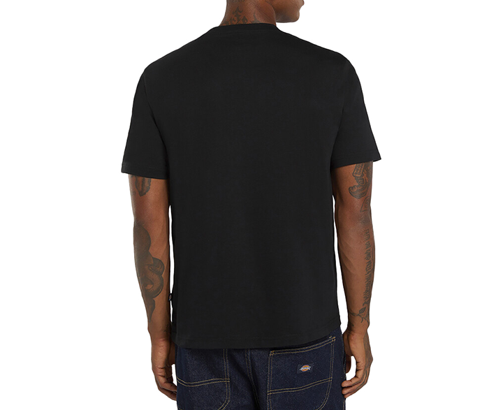 DICKIES T-SHIRT MAPLETON