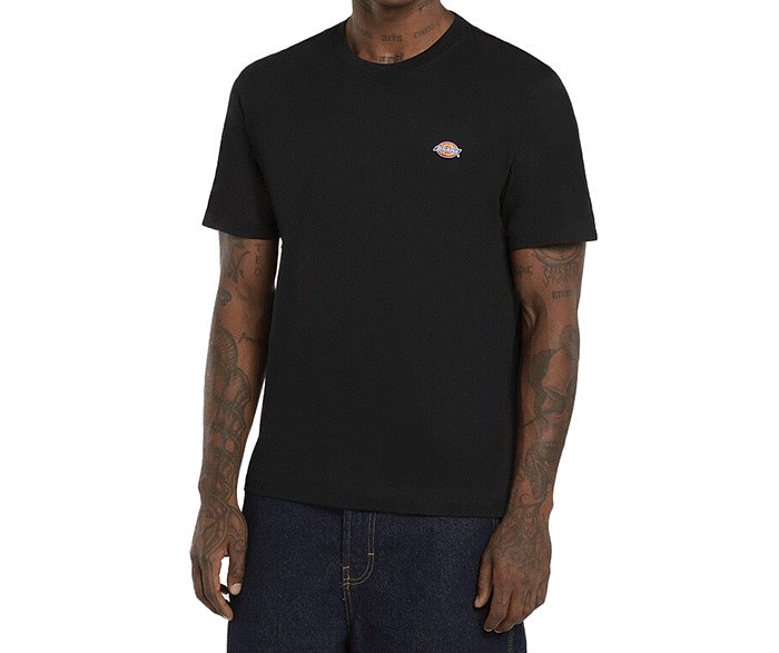DICKIES T-SHIRT MAPLETON