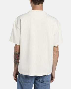 DICKIES T-SHIRT MINERAL