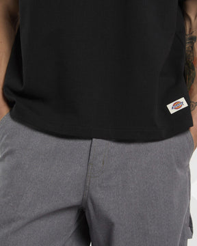 DICKIES T-SHIRT MINERAL