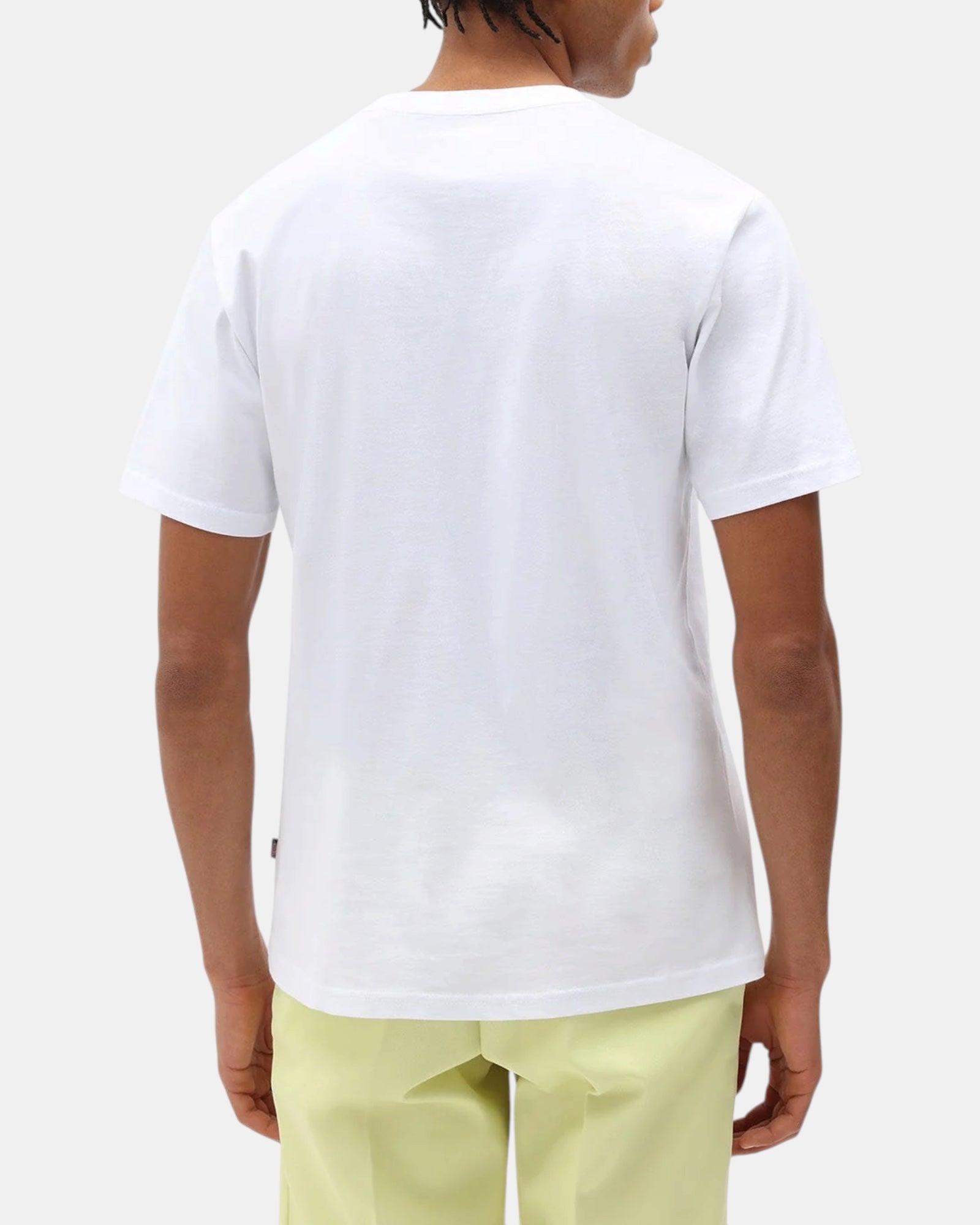 Dickies Mapleton – T-shirt con logo