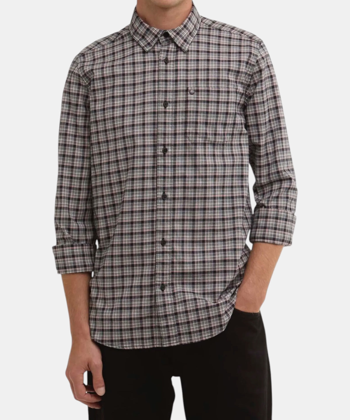 CAMICIA PEREGRINE 5746-MSH