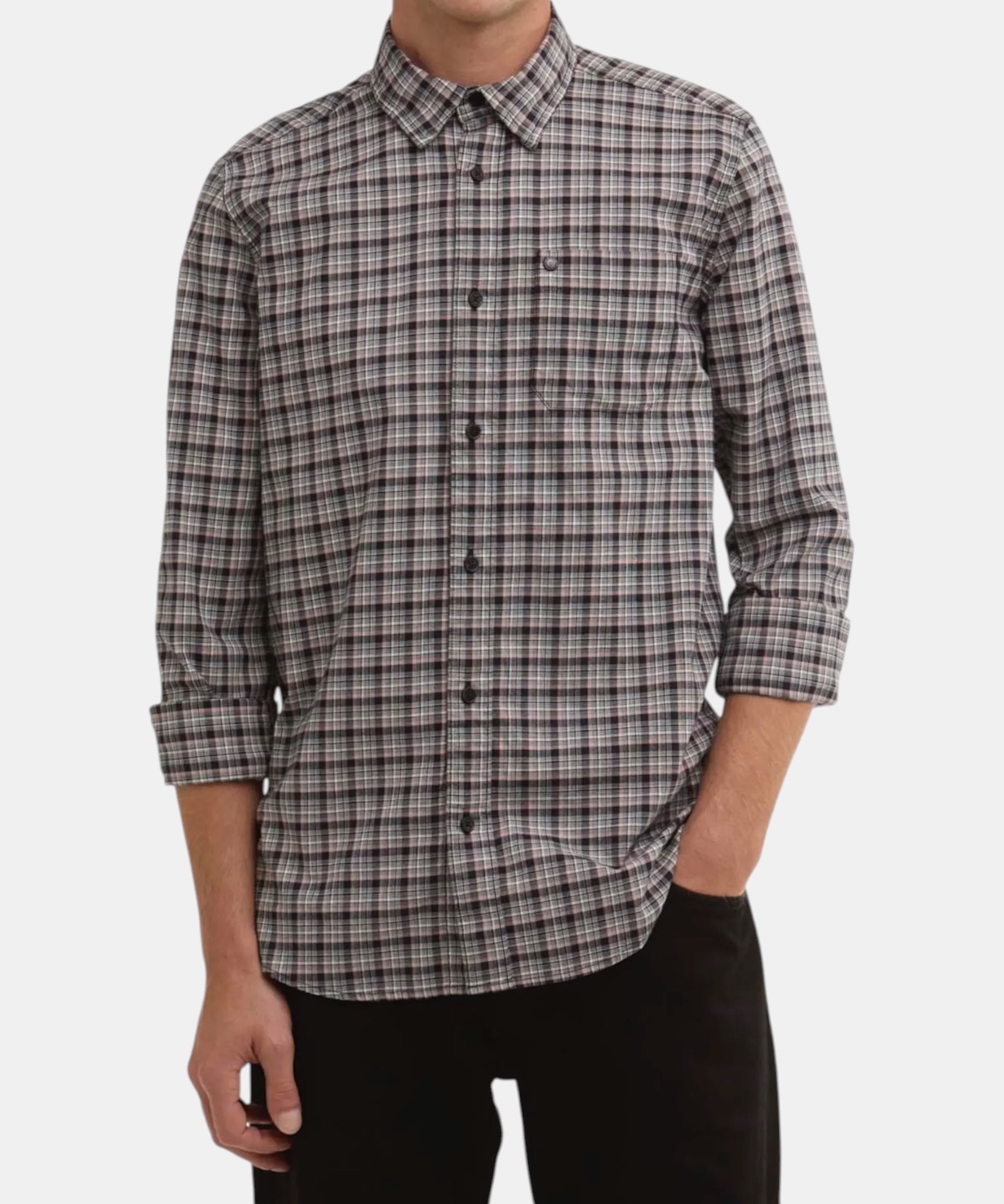 CAMICIA PEREGRINE 5746-MSH
