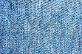 DICKIES DENIM MADISON